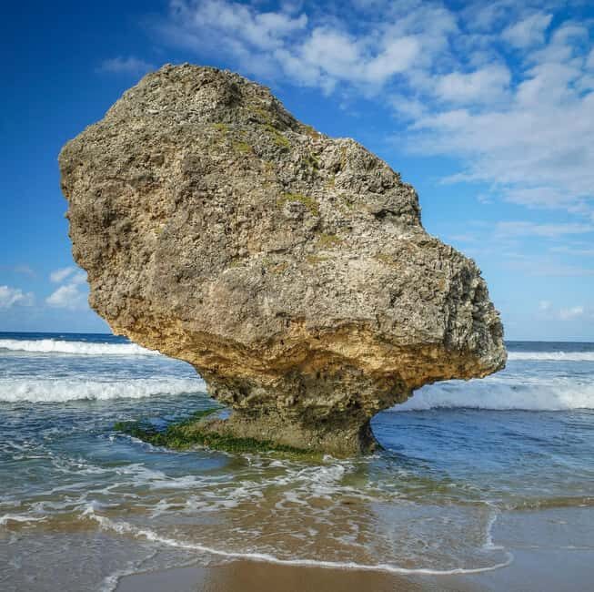 Sweet Life Island Tours - An In-Depth Look at the Barbados Island Tour