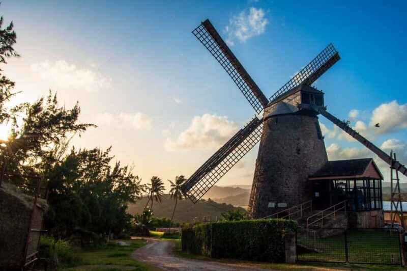 Sweet Life Island Tours - Final Word