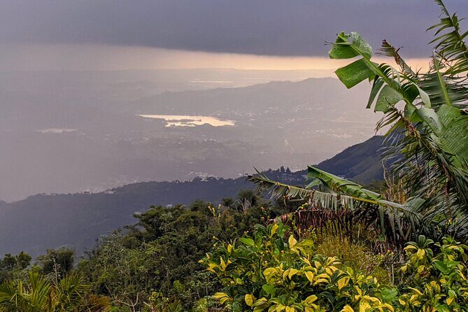 Swim, Explore & Identify Tropical Flora - A Close Look at the Experience