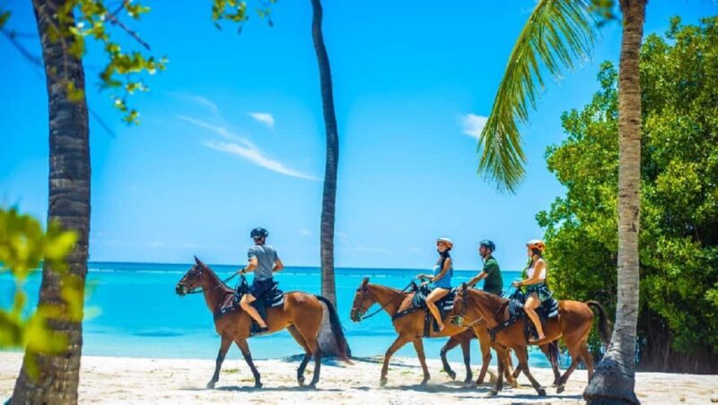 Swim Horse fom Punta Cana - Key Points
