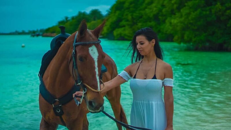 Swim Horse fom Punta Cana - Authentic Feedback from Travelers