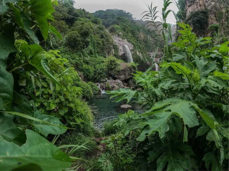 Swim in lush springs and waterfalls in Guadalajara - The Value of This Experience