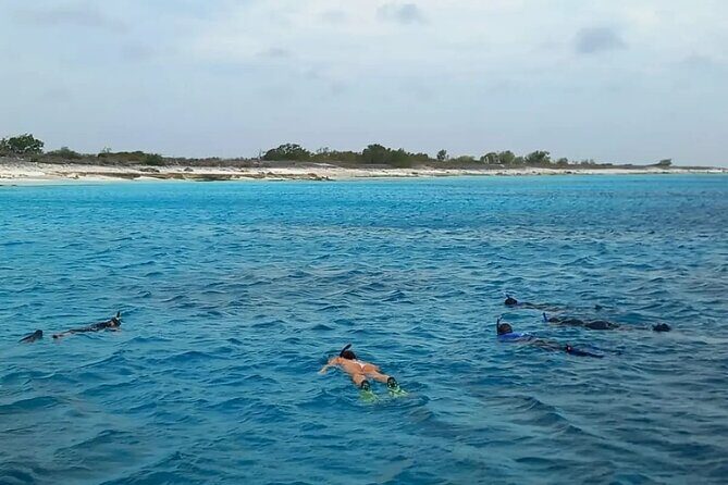 Swim & Reef Snorkeling Bonaire - Authentic Encounters and What to Expect