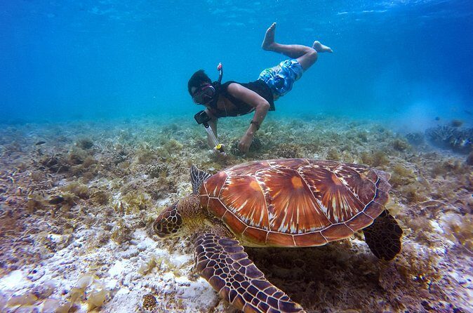 Swim & Reef Snorkeling Bonaire - FAQ