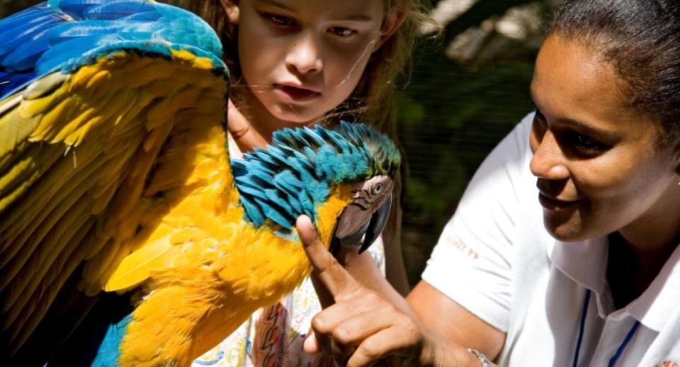 Swim With Dolphins at Ocean World Puerto Plata - Transportation Options