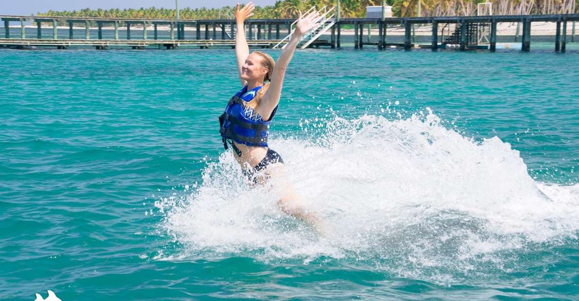 Swim With Dolphins in Punta Cana - Key Points