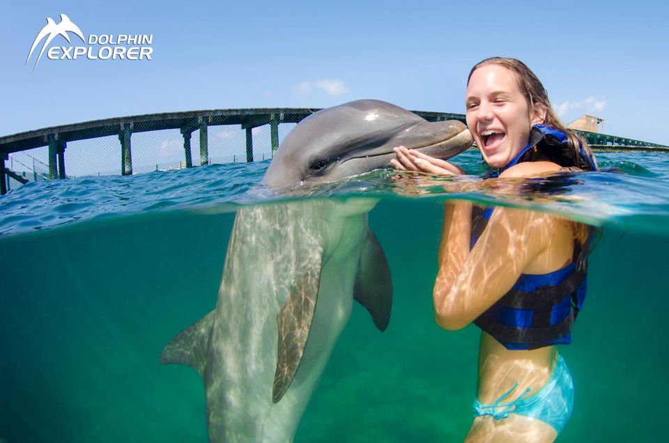 Swim With Dolphins in Punta Cana - Funtastic Program Details