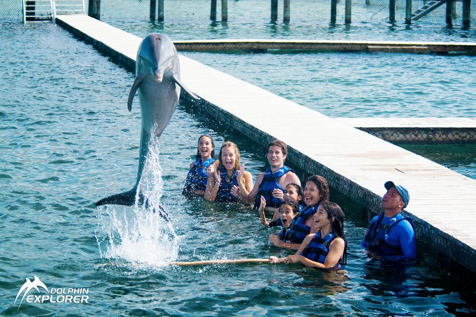 Swim With Dolphins in Punta Cana - Pricing and Reservations