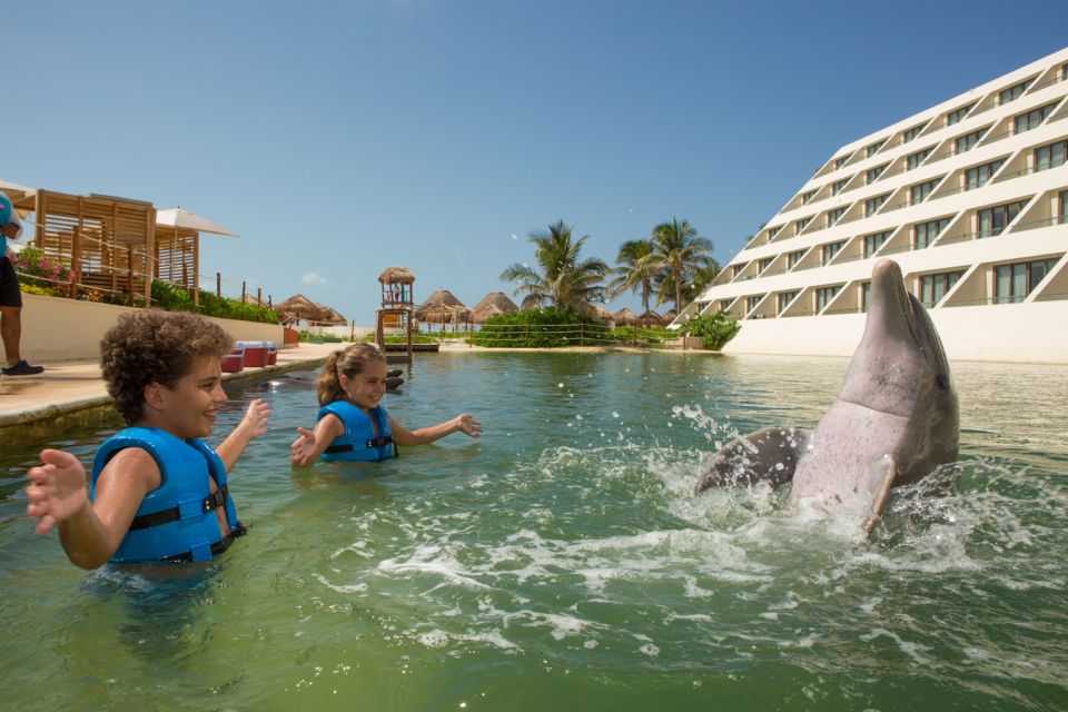 Swim With Dolphins - Punta Cancun - Interaction and Play