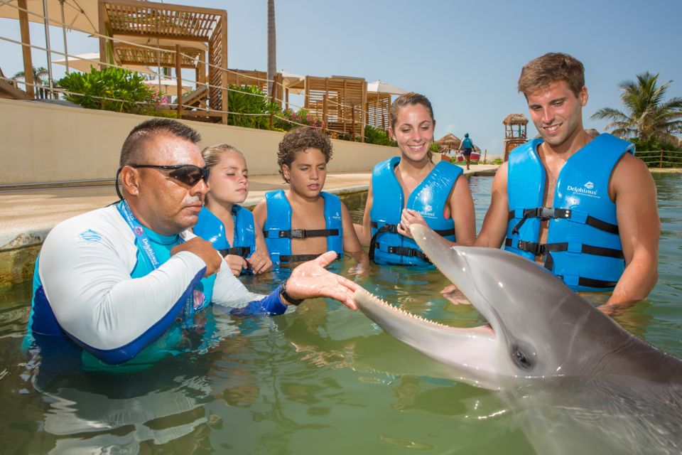 Swim With Dolphins - Punta Cancun - Location and Meeting Point