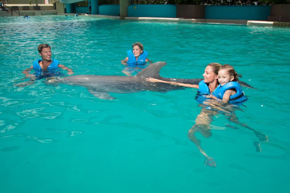 Swim With Dolphins Ride - Interactive Aquarium Cancun - Aquarium Activities