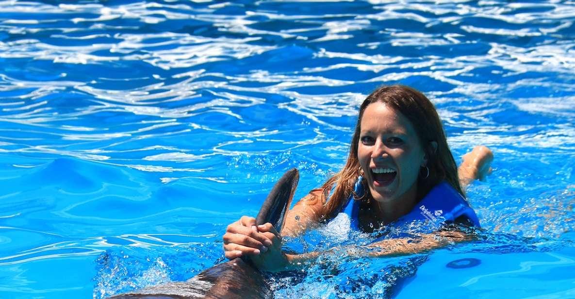 Swim With Dolphins Ride - Interactive Aquarium Cancun - Dolphin Interaction