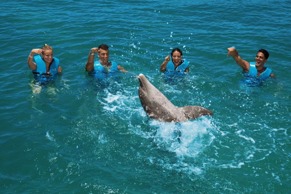 Swim With Dolphins Ride - Playa Mujeres - Key Points