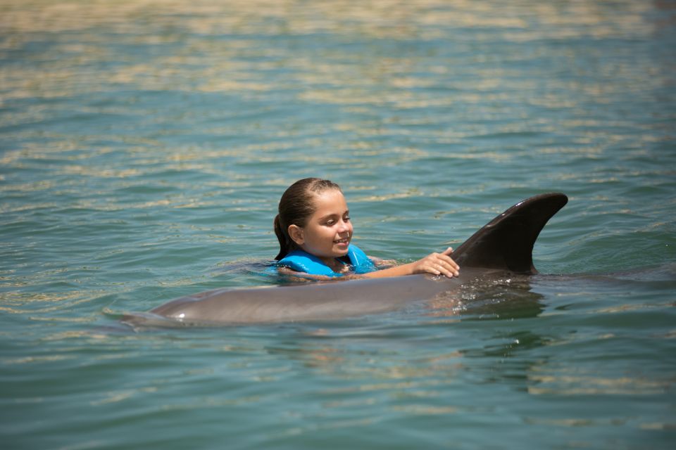 Swim With Dolphins Ride - Playa Mujeres - Dolphin Interaction Activities