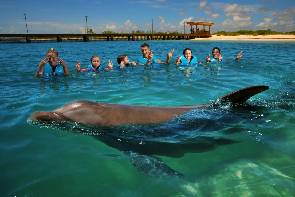 Swim With Dolphins Ride - Playa Mujeres - Arrival and Meeting Point