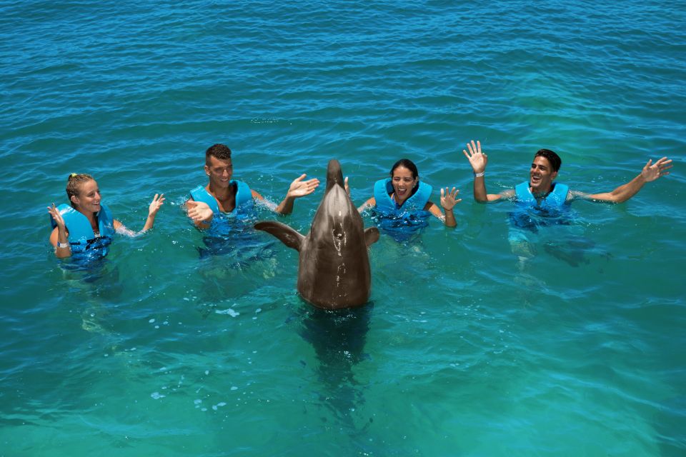 Swim With Dolphins Ride - Playa Mujeres - Photographer and Videographer