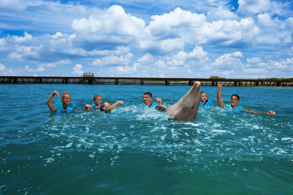 Swim With Dolphins Ride - Playa Mujeres - Booking and Pricing Information