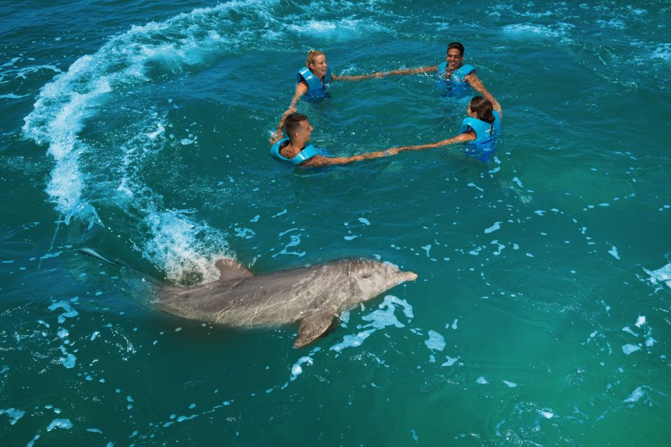 Swim With Dolphins Ride - Playa Mujeres - Frequently Asked Questions