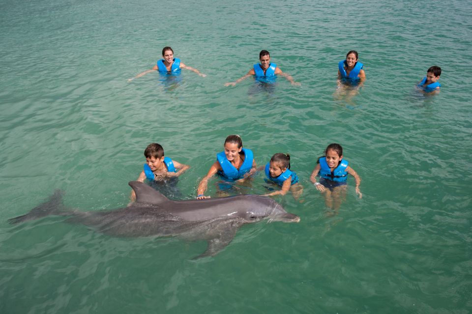 Swim With Dolphins Ride - Puerto Morelos - Whats Included