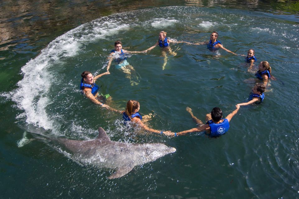 Swim With Dolphins Splash - Riviera Maya - Activity Duration and Details