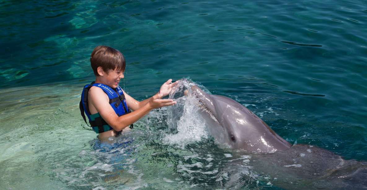 Swim With Dolphins Splash - Riviera Maya - Included in the Package