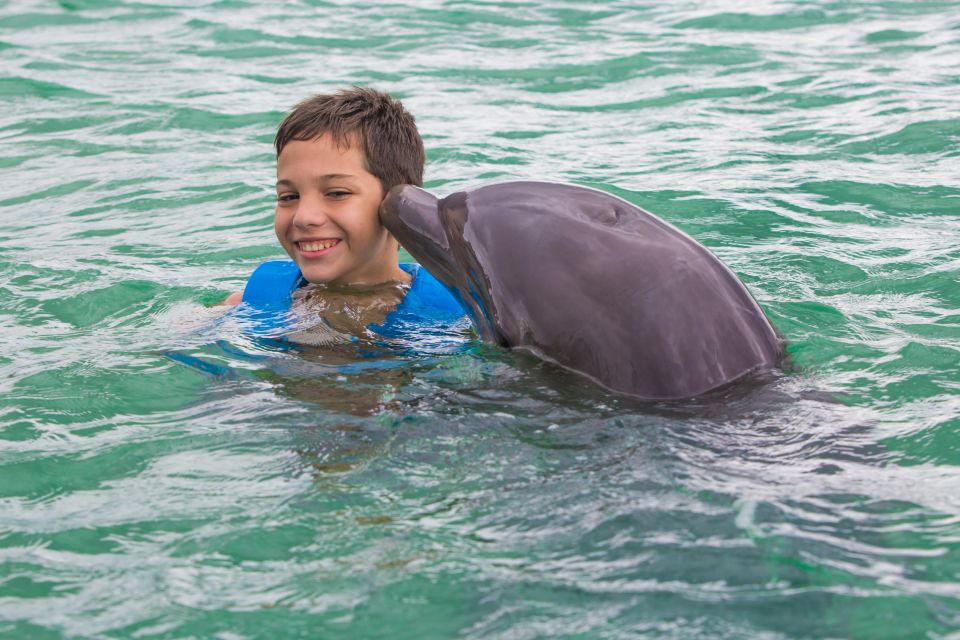 Swim With Dolphins Splash - Riviera Maya - Dolphin Interaction and Photos