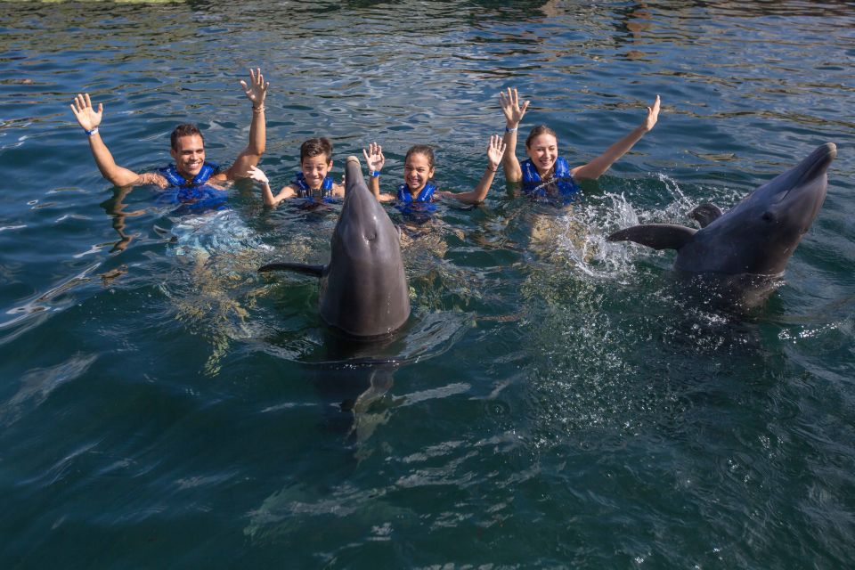 Swim With Dolphins Splash - Riviera Maya - Meeting Point Location