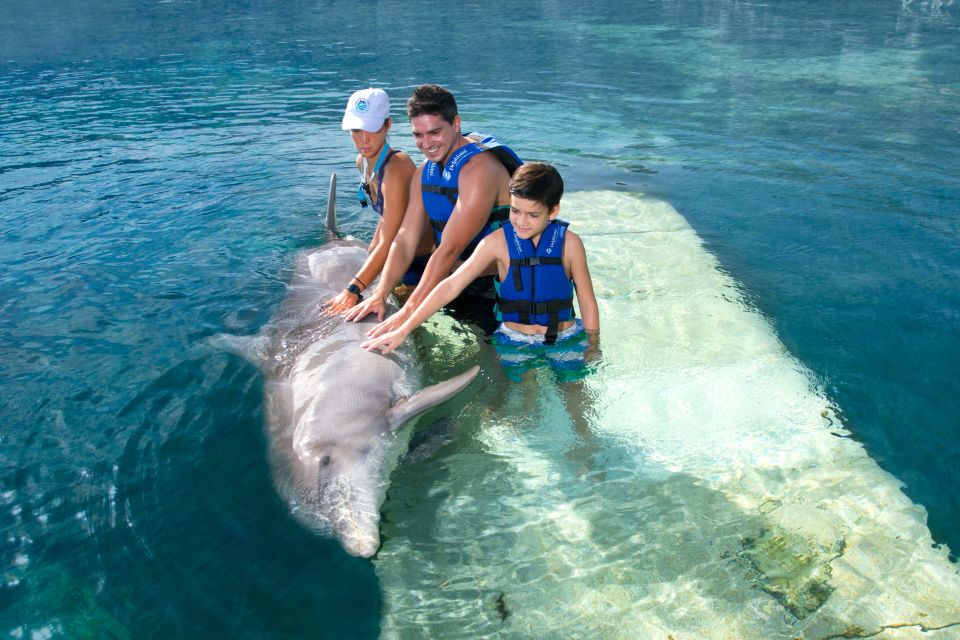 Swim With Dolphins - Supreme - Puerto Morelos - Highlights of the Program