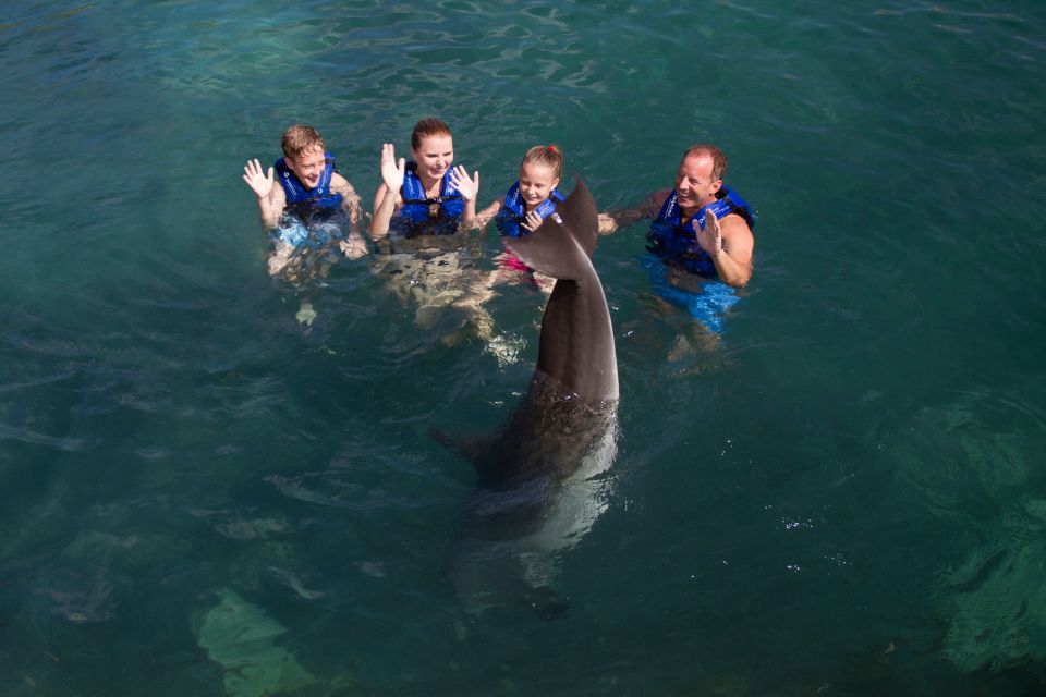 Swim With Dolphins - Supreme - Puerto Morelos - Convenient Location