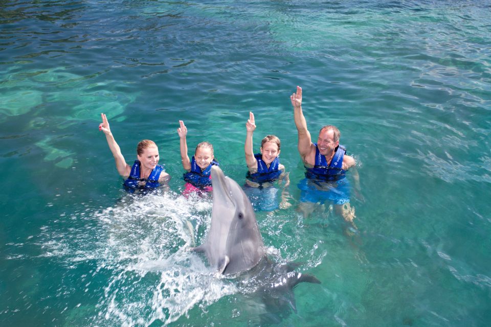 Swim With Dolphins - Supreme - Puerto Morelos - Limited Group Size