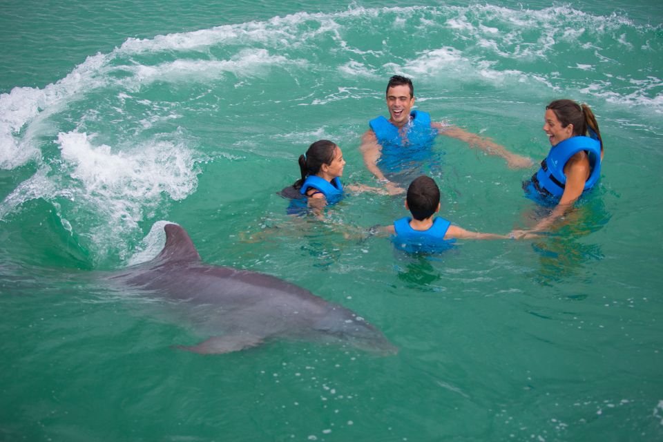 Swim With Dolphins - Supreme - Puerto Morelos - Pricing and Booking