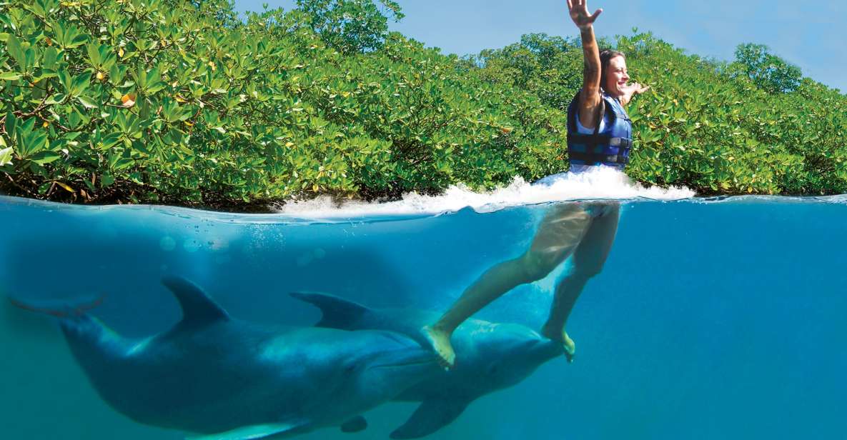 Swim With Dolphins Supreme - Riviera Maya - Included Activities