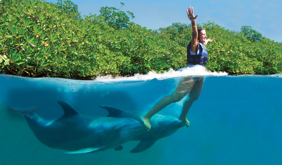 Swim With Dolphins Supreme - Riviera Maya - Dolphin Interaction Details