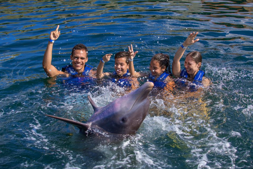 Swim With Dolphins Supreme - Riviera Maya - Accessibility and Parking