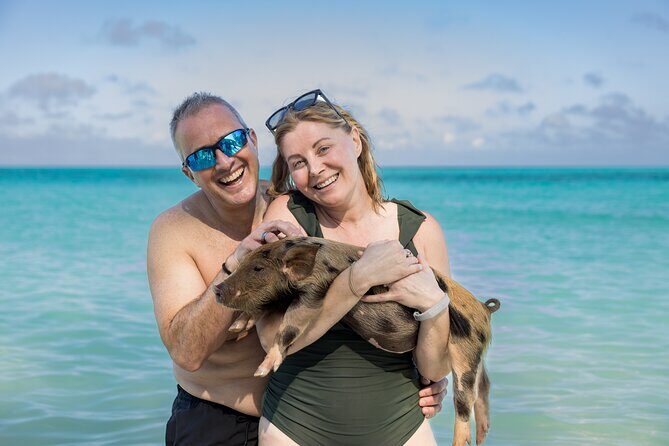Swim with Famous Pigs at Rose Island - The Sum Up