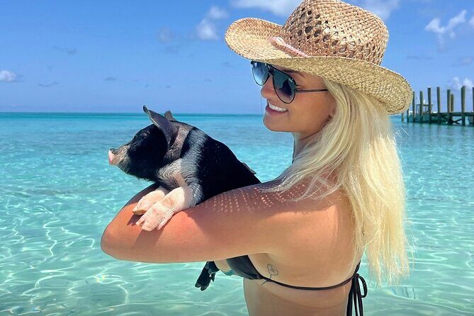Swim with Pigs and Beach Snorkeling Adventure Rose Island Bahamas - What is the Tour About?