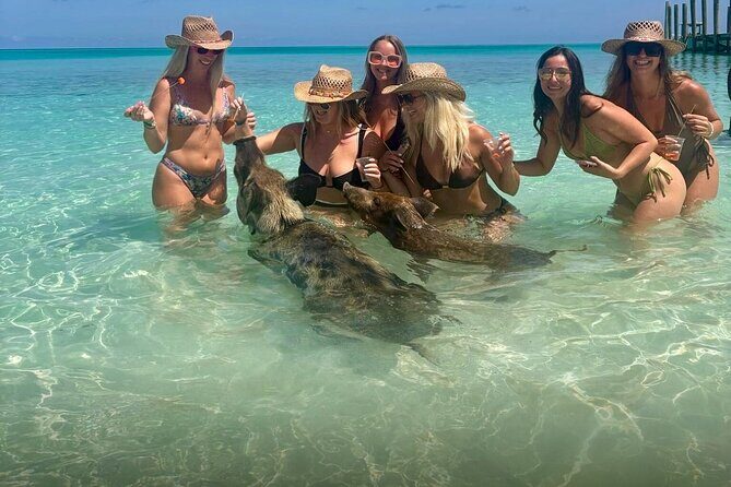 Swim with Pigs and Beach Snorkeling Adventure Rose Island Bahamas - Practical Considerations