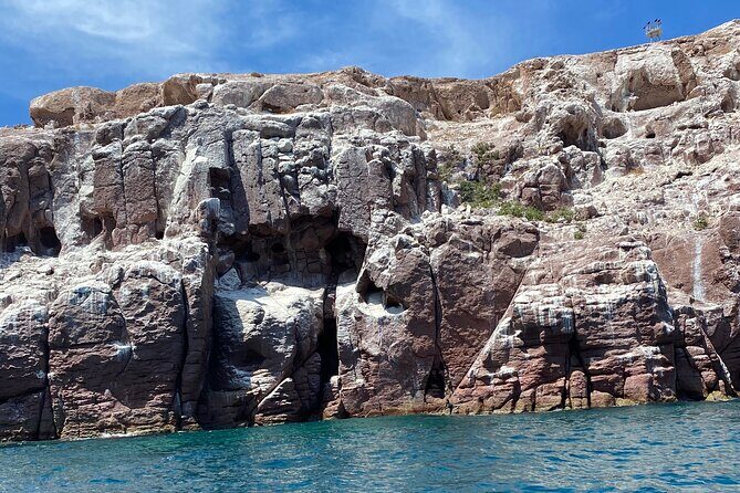 Swim with Sea Lions in La Paz - Who Will Love This Tour?