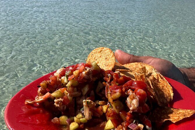 Swim with Sea Lions in La Paz - Final Thoughts: Is It Worth It?