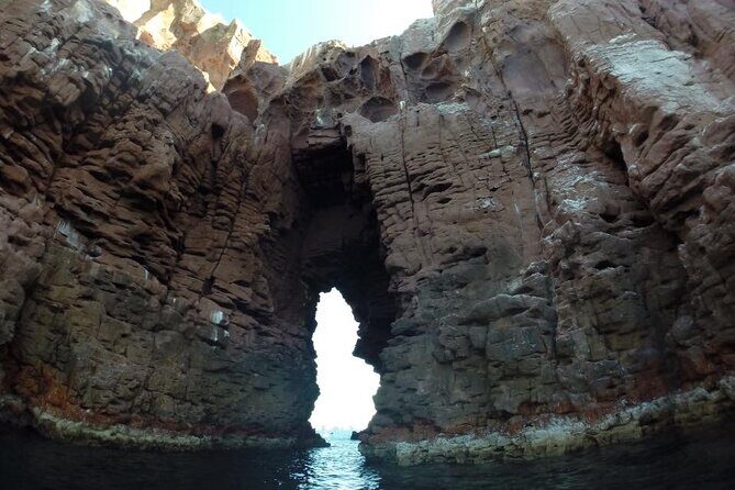 Swim with Sea Lions in La Paz - FAQ about the Swim with Sea Lions in La Paz Tour