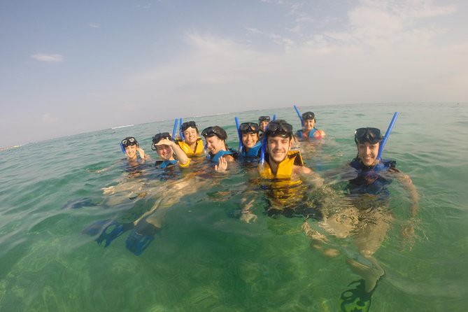 Swim With Sea Turtles - What to Expect