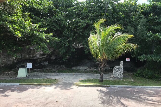 Swim with the Pigs and Explore Caves in Nassau - Key Points