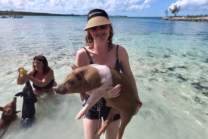 Swim with the Pigs and Explore Caves in Nassau - Who This Tour Is Best For