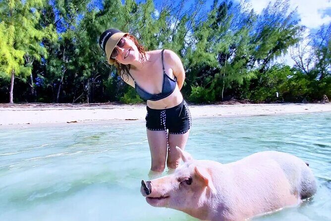 Swim with the Pigs and Explore Caves in Nassau - FAQ: Common Questions About the Nassau Tour