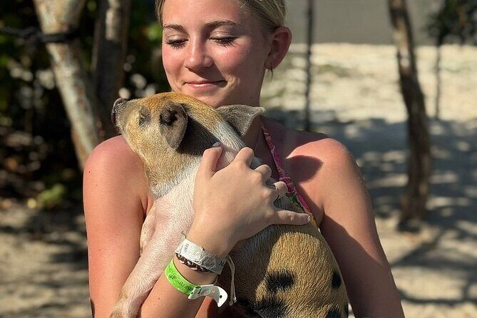 Swim with the Pigs Freeport @Creative Eco Adventures - FAQs