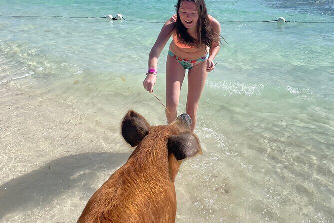 Swim with the Pigs Freeport @Creative Eco Adventures - Final Words