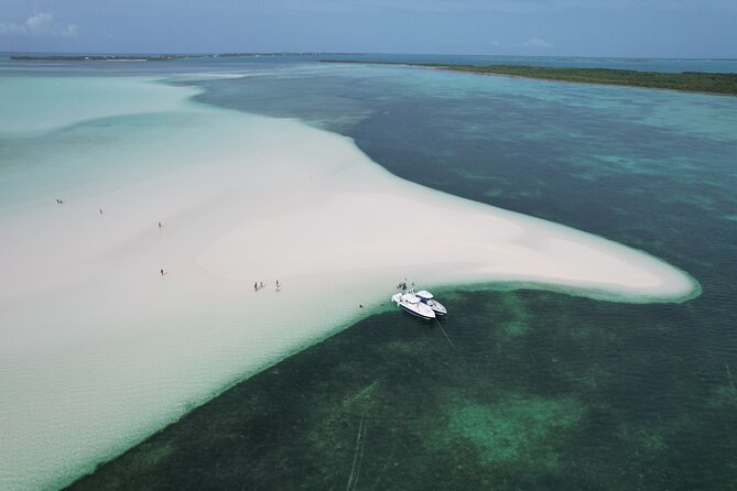 Swim With the Pigs! Half Day Harbour Island Private Boat Tour - Tour Overview
