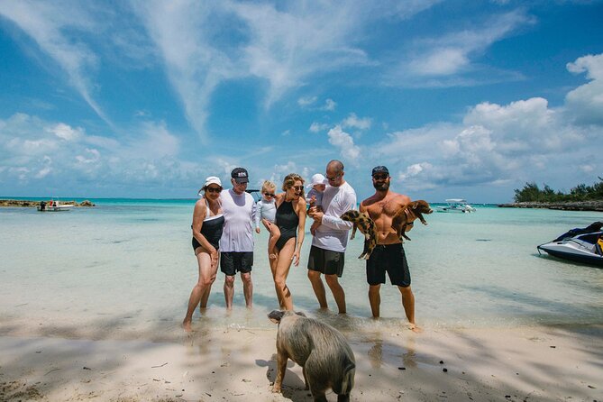 Swim With the Pigs! Half Day Harbour Island Private Boat Tour - Tour Participation