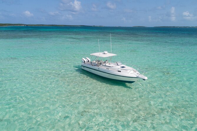 Swim With the Pigs! Half Day Harbour Island Private Boat Tour - Luxury and Amenities