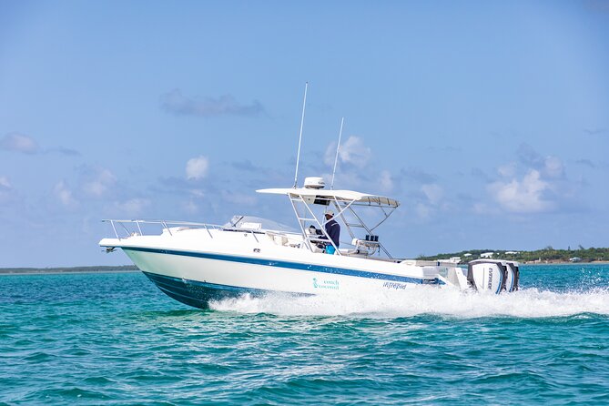 Swim With the Pigs! Half Day Harbour Island Private Boat Tour - Unique Experiences